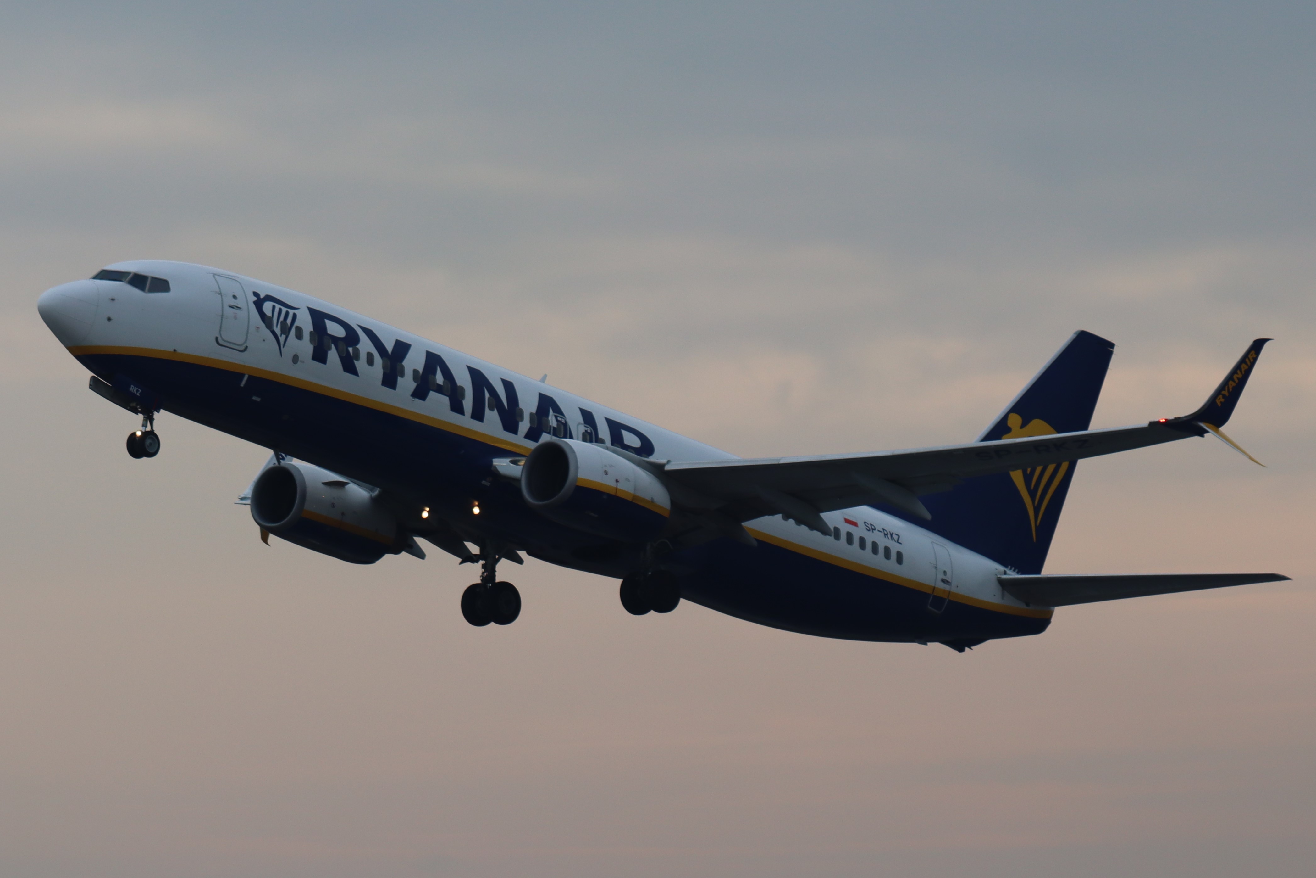 Plane Image
