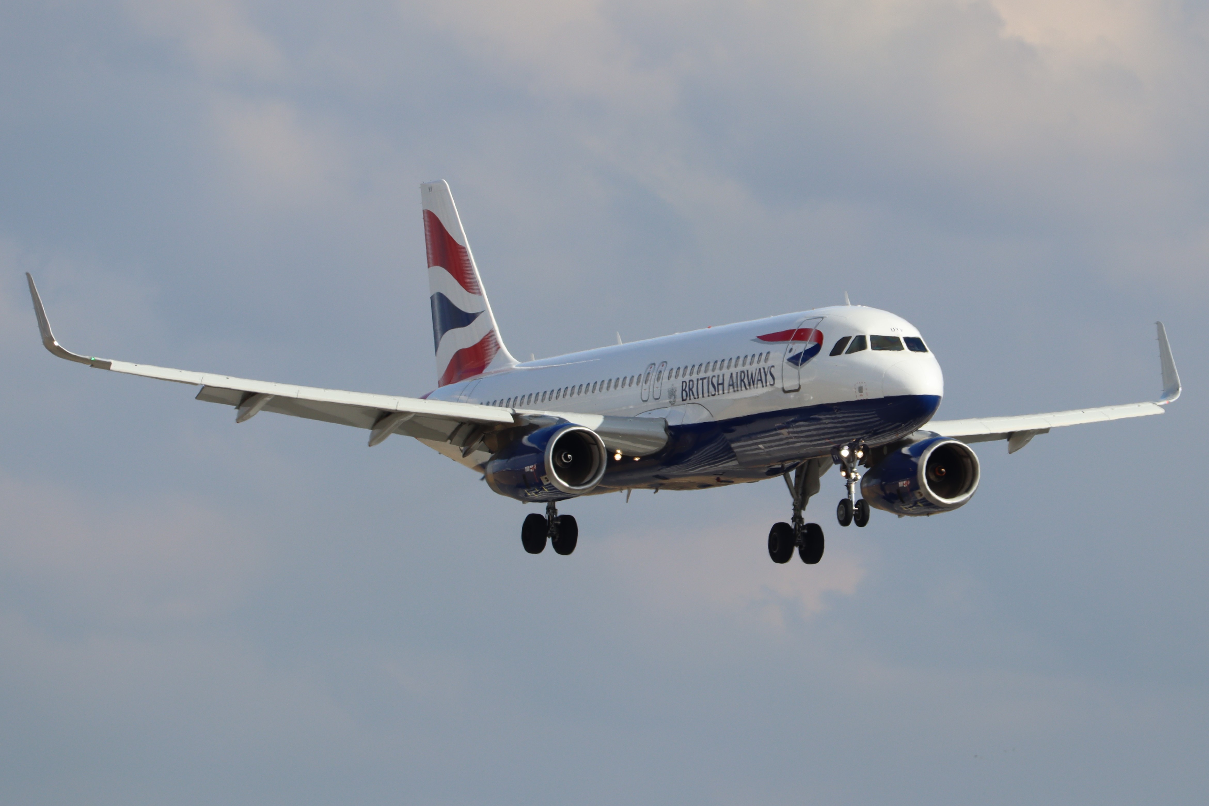 Plane Image
