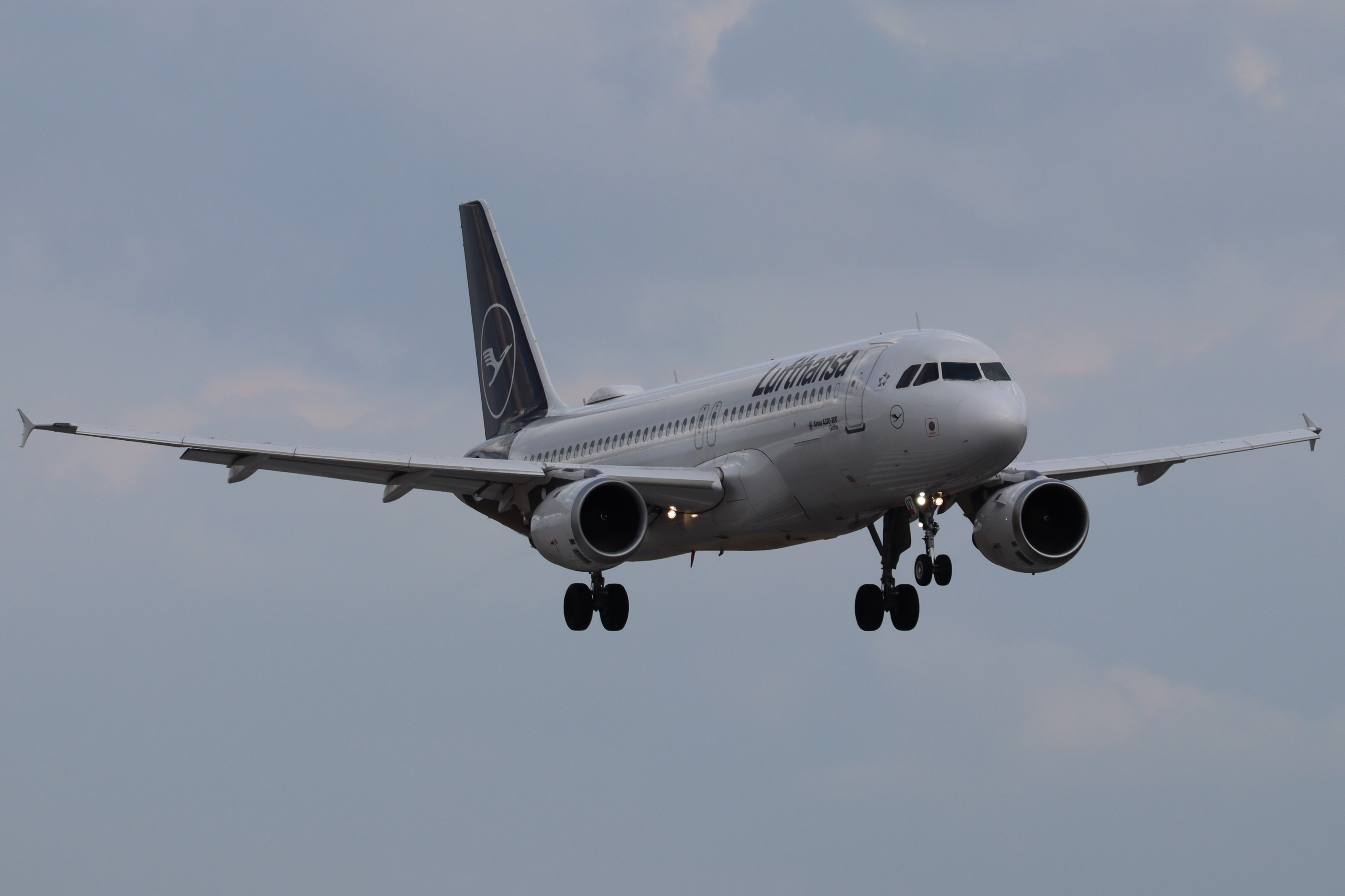 Plane Image