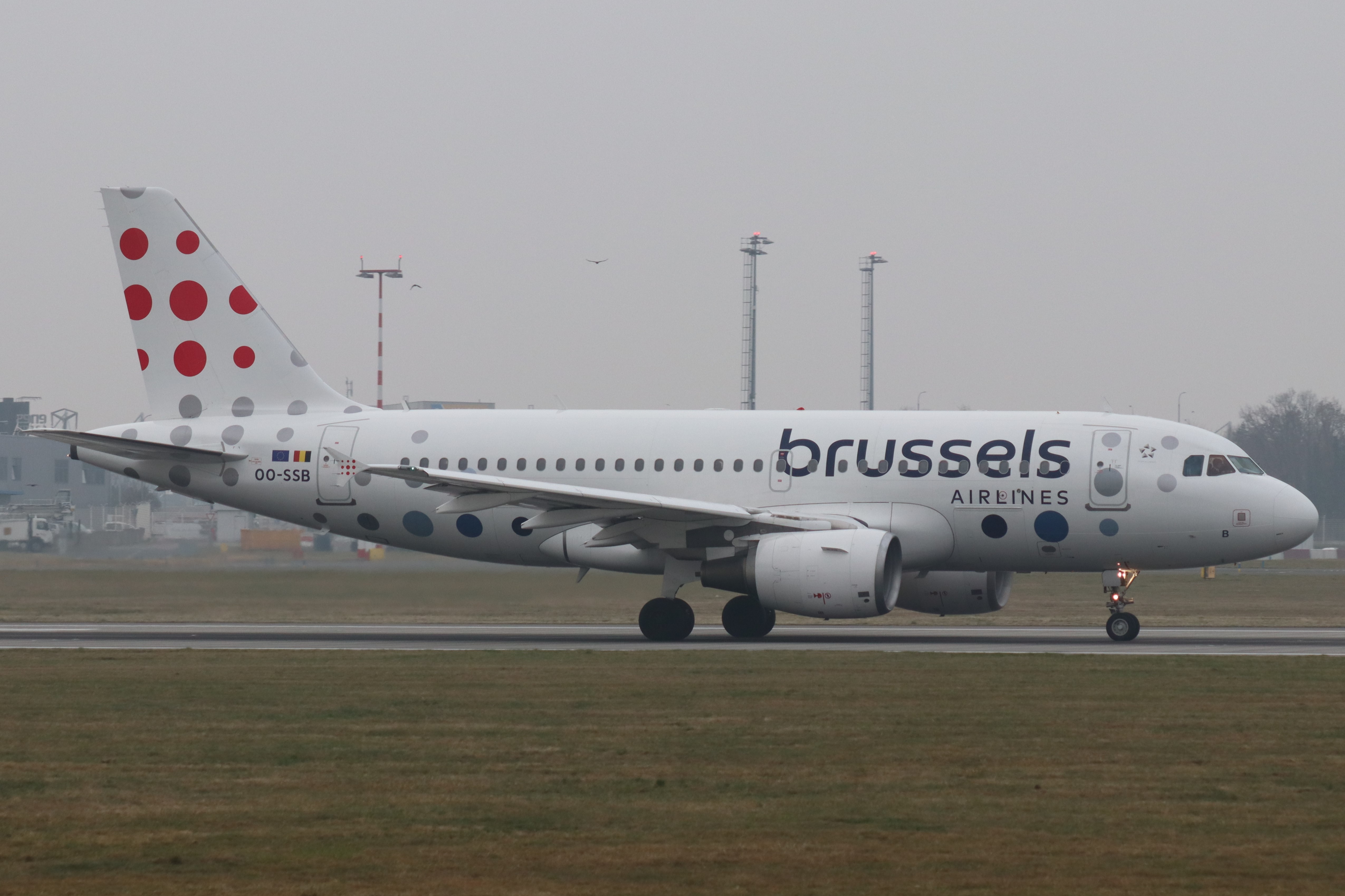 Plane Image
