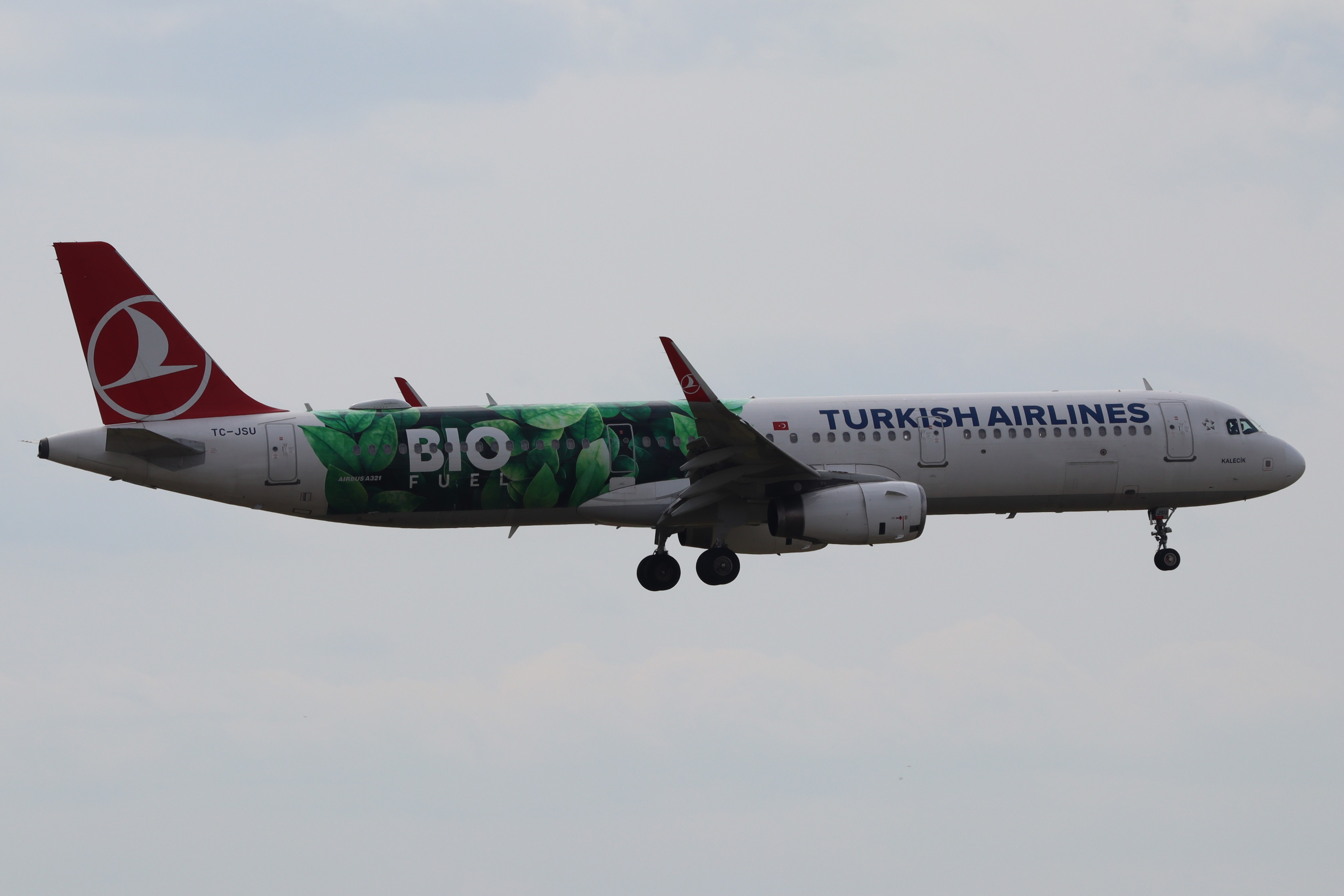 Plane Image