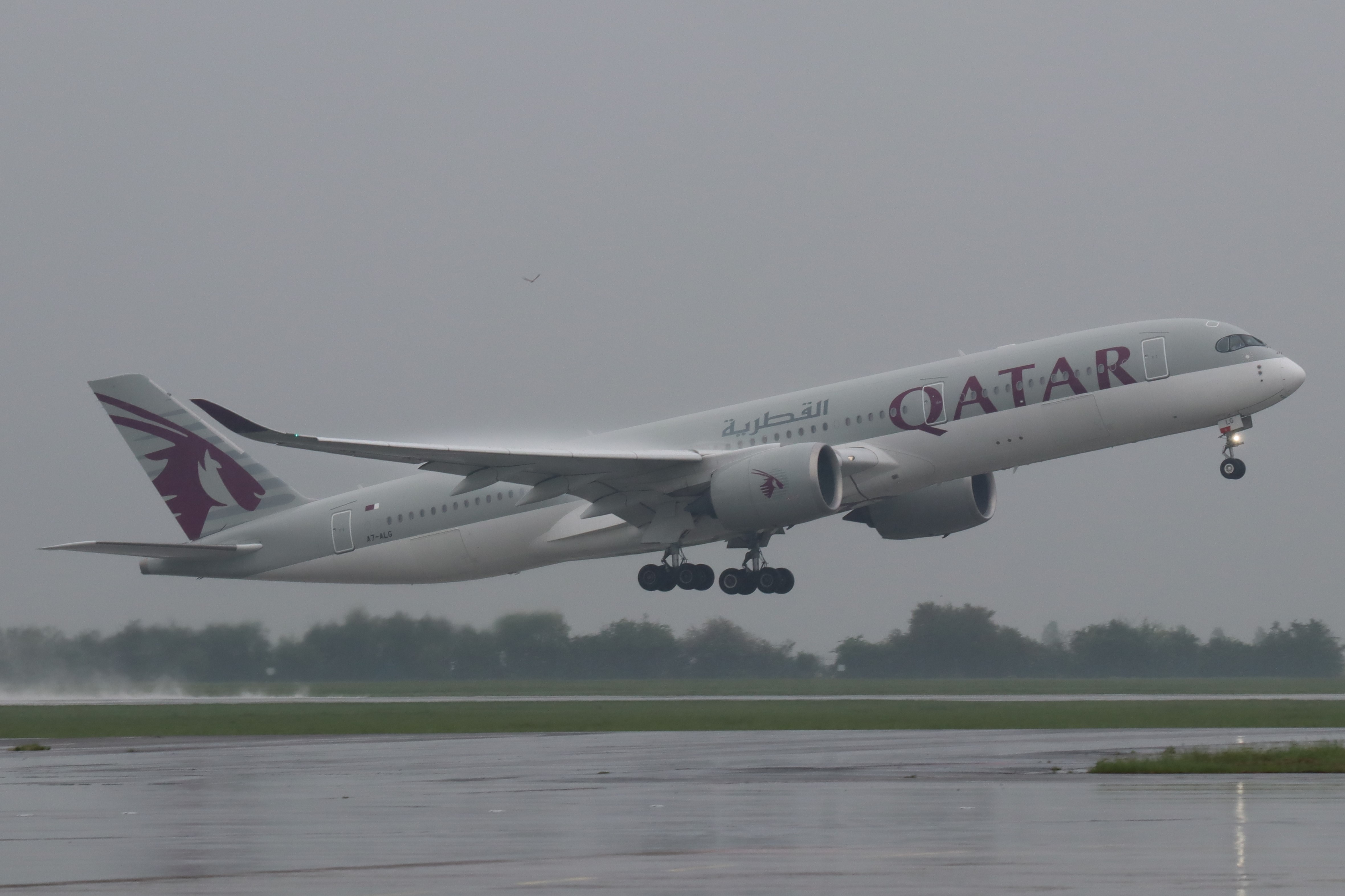 Plane Image