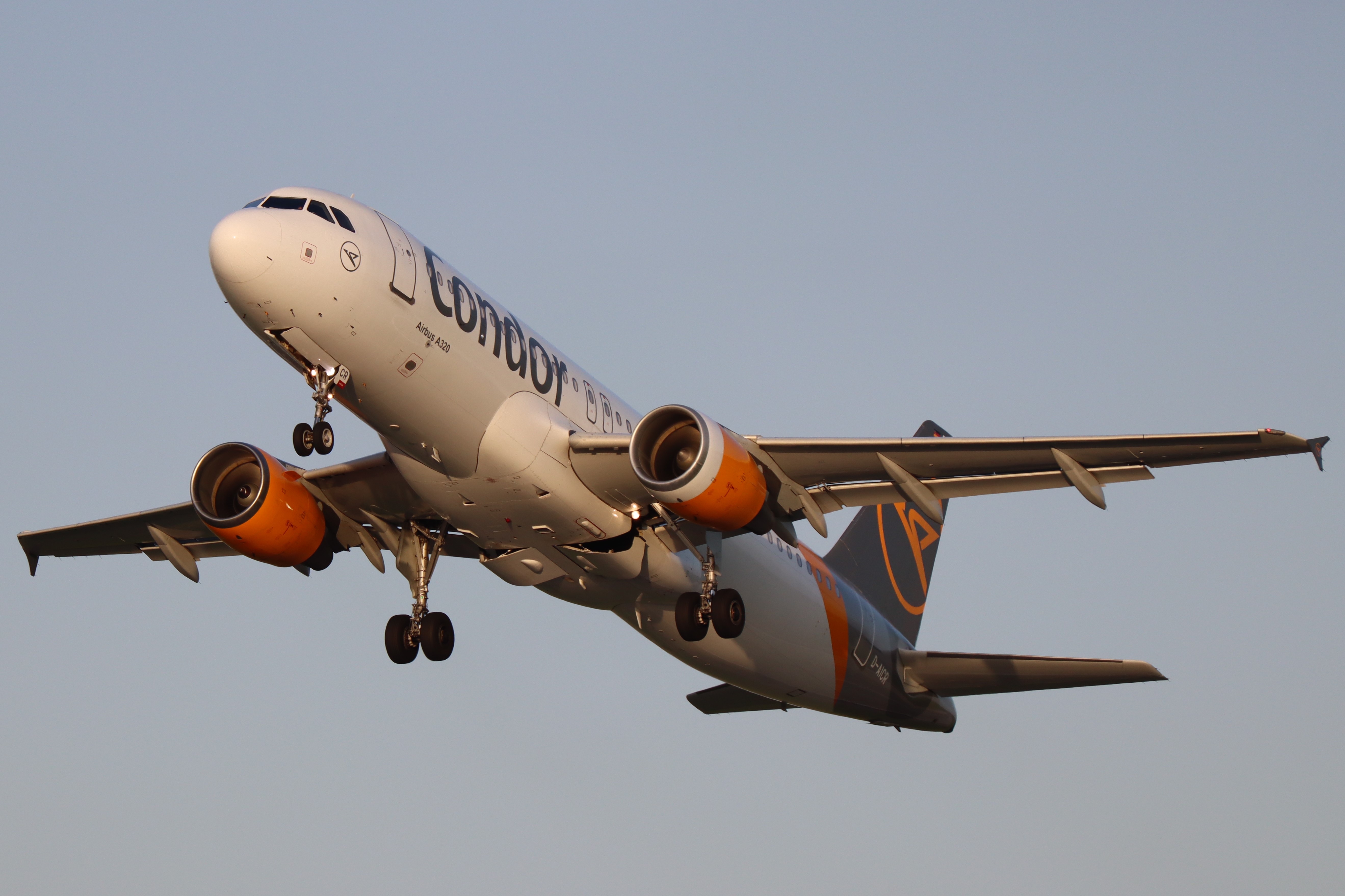 Plane Image